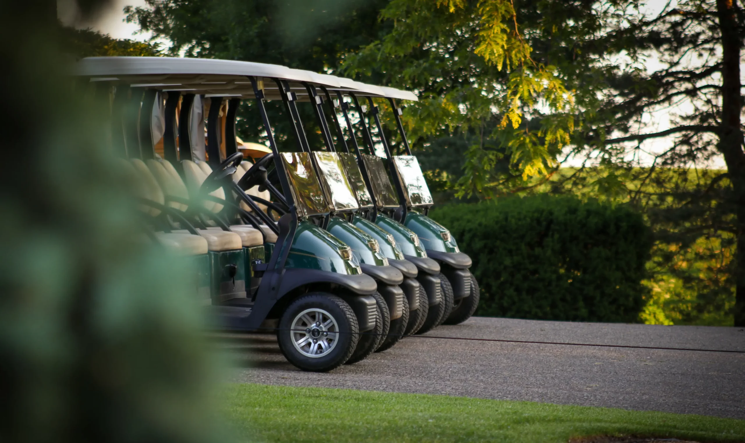 A row of golf carts parked at Maderas Golf Club